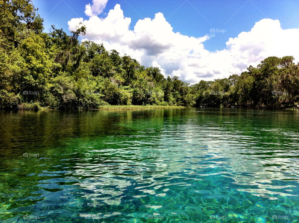 blue clouds trees water by vegatron