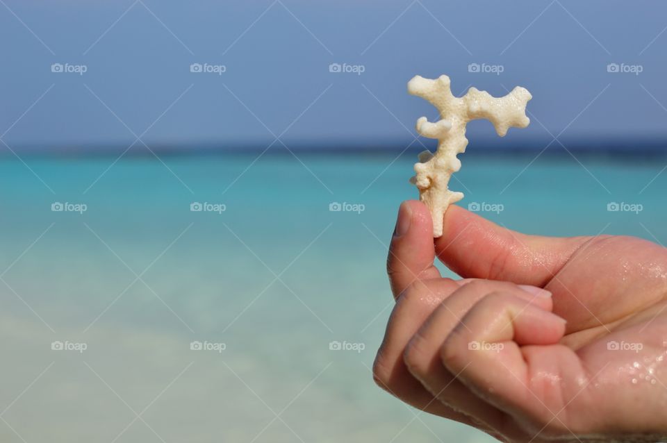 Coral collected on the beach of a tropical island