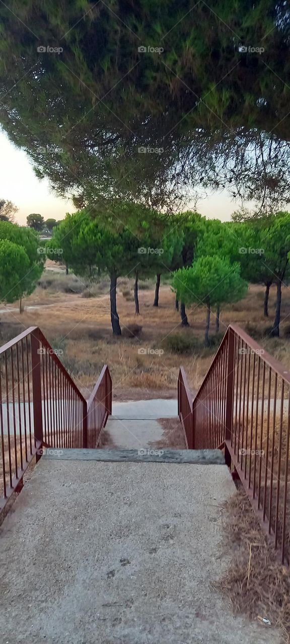 Escaleras Parque