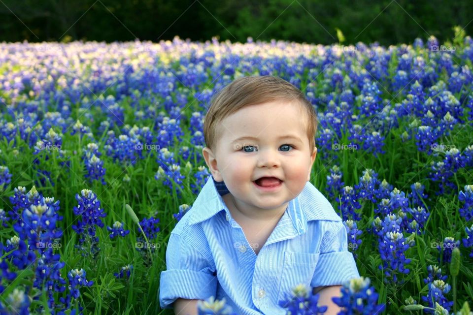 Blue eyes in the bluebonnets 