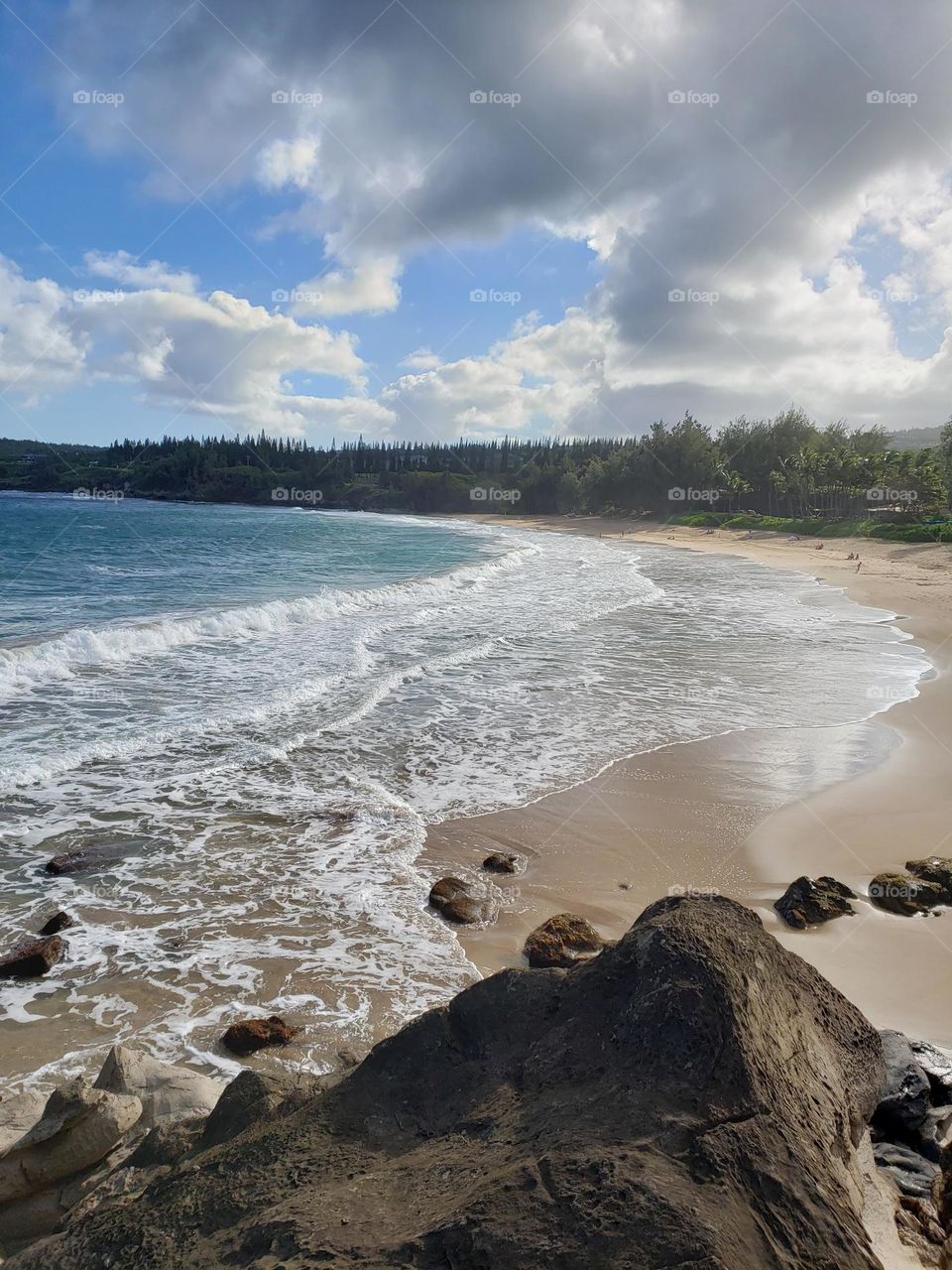 Magnificent Maui Fleming Beach