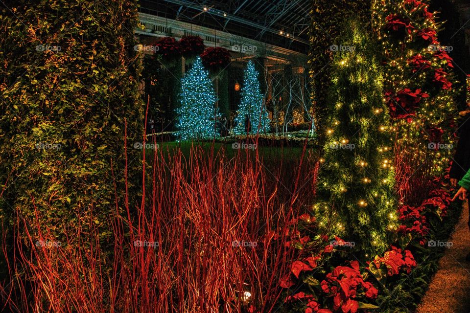 Fire and Ice…a Longwood Christmas 