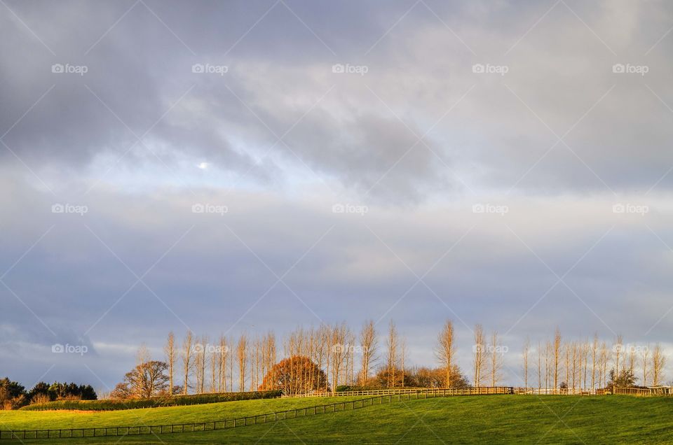 Landscape. Farm