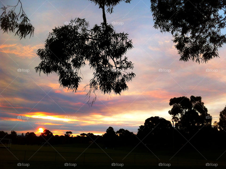 sky tree sunset clouds by king