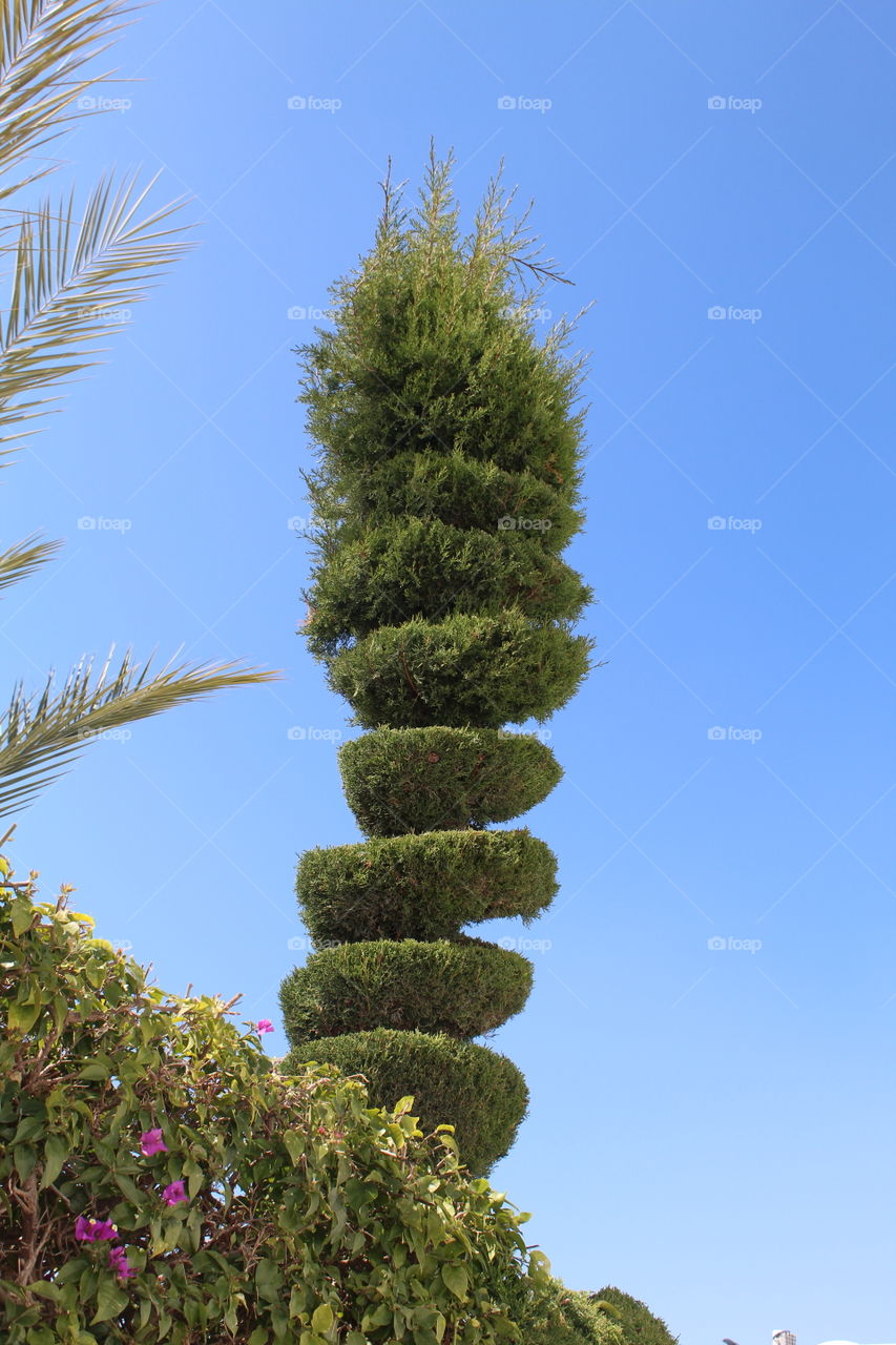 home garden decorations