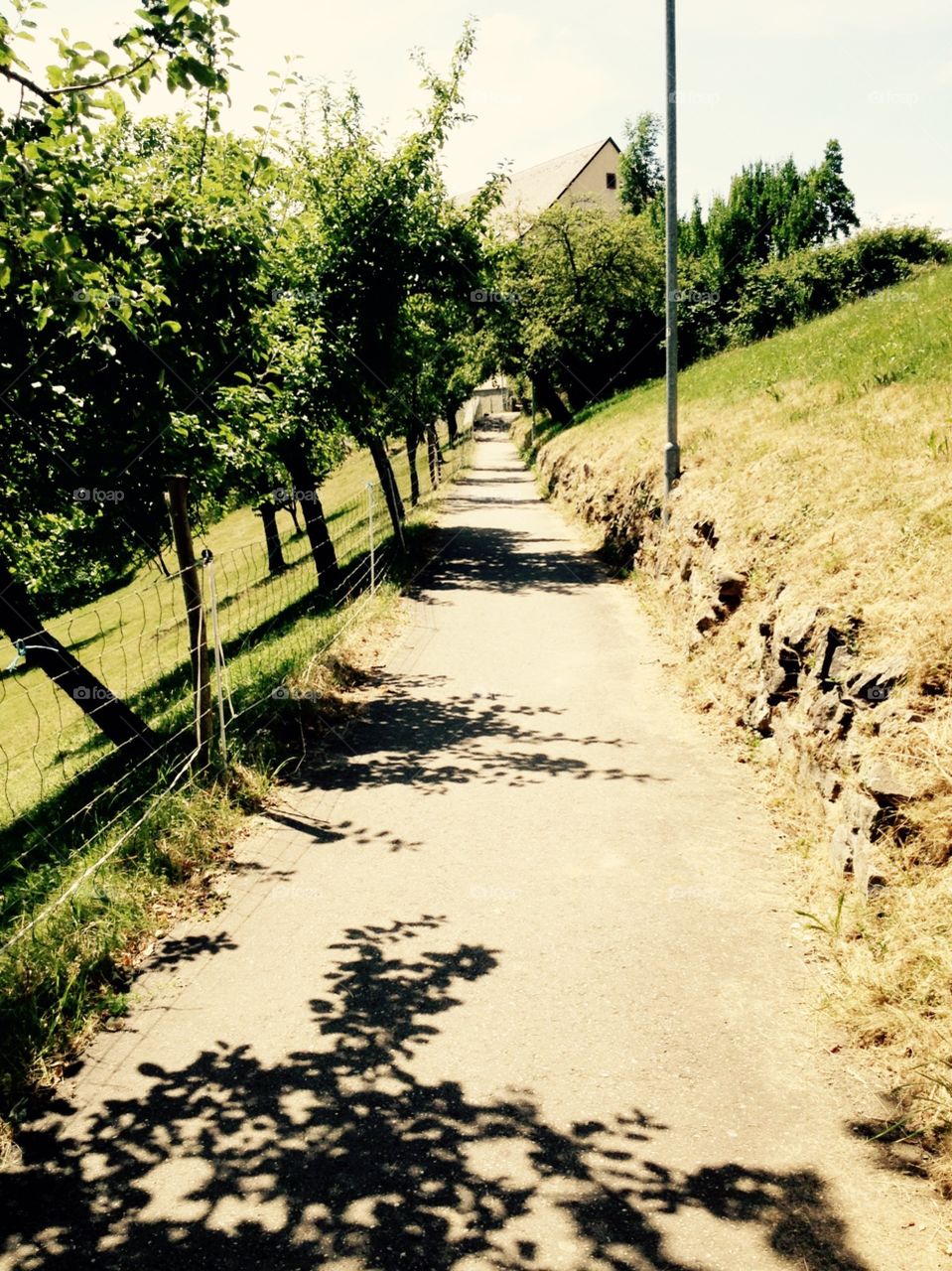 Shadow. Holiday in Germany, Somonswald. 
