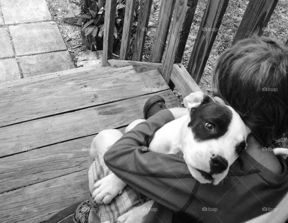 Boy loves puppy 