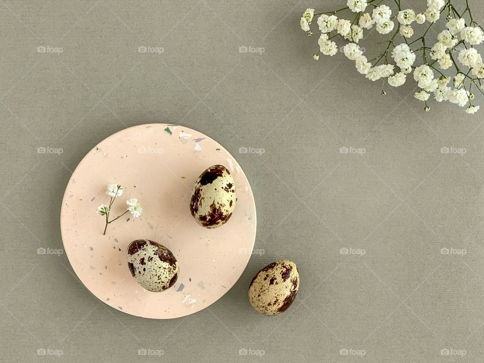 Quail eggs on a concrete podium, white flowers, Easter