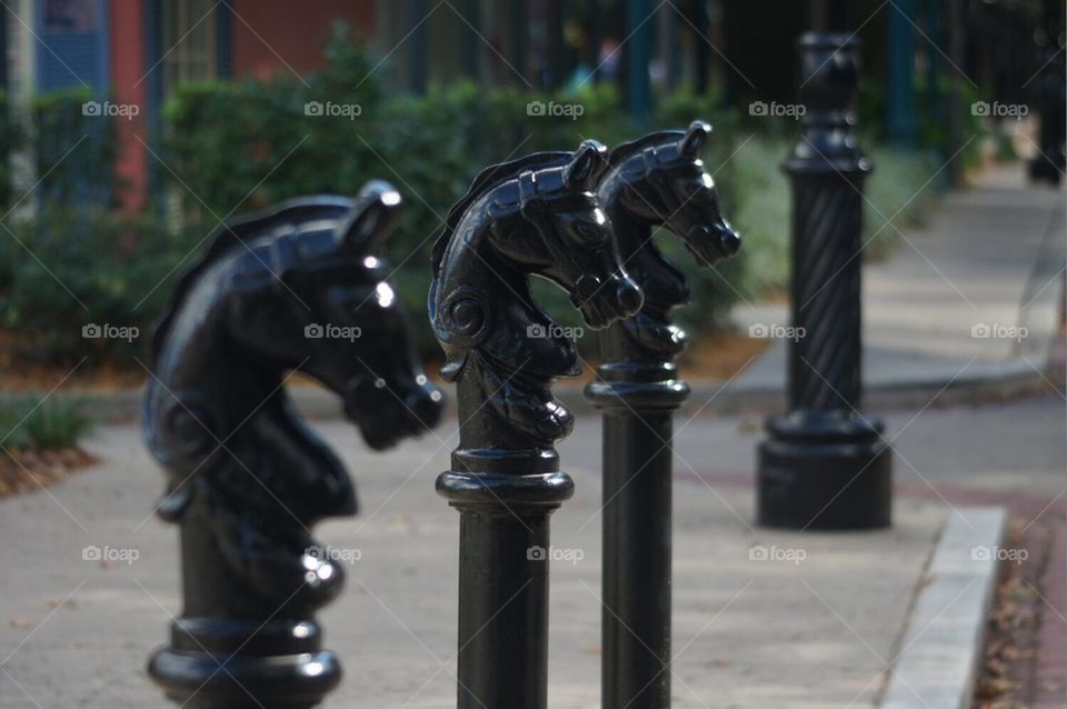 New Orleans horse posts
