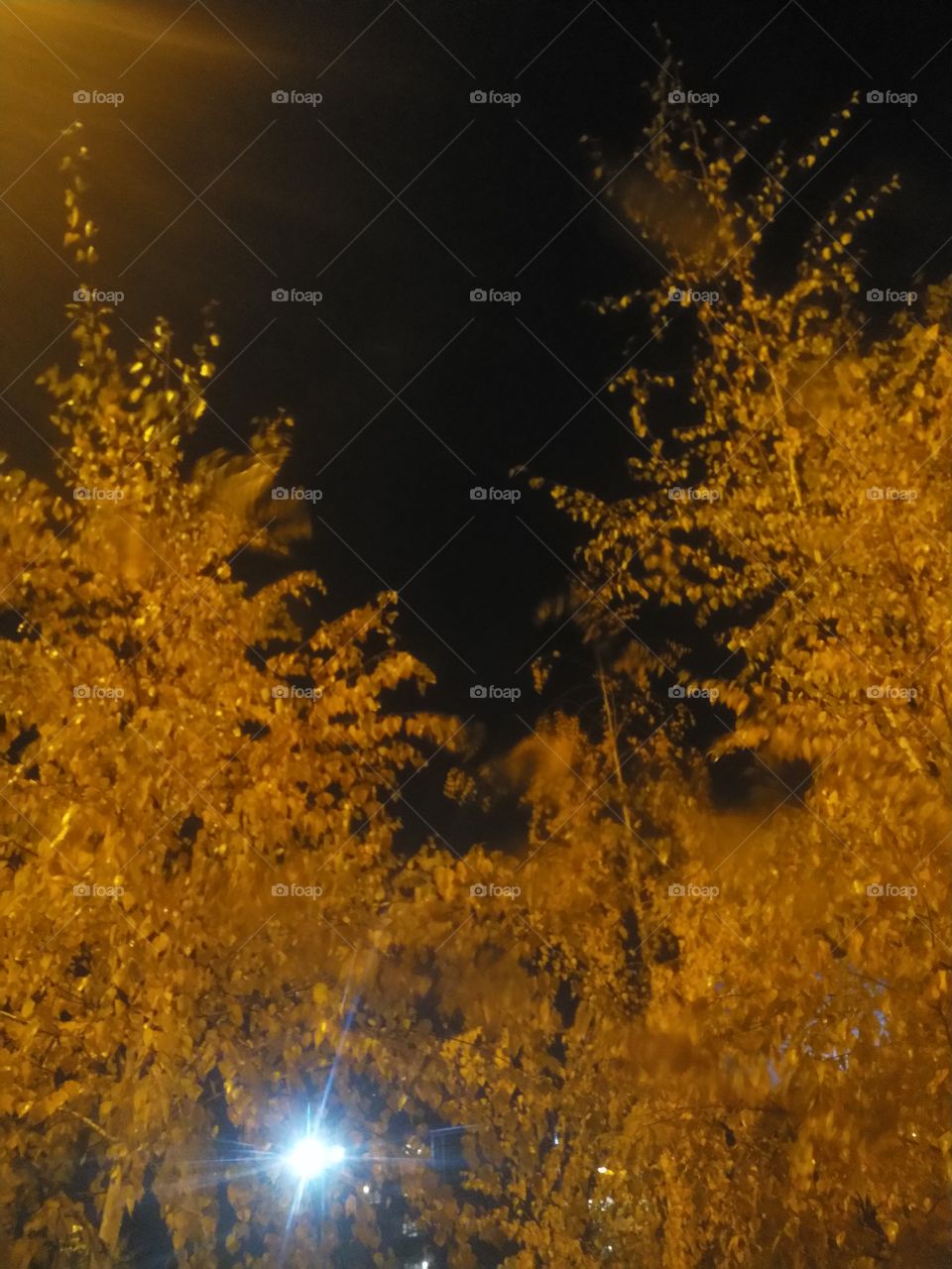 Две берёзы и фонарь.