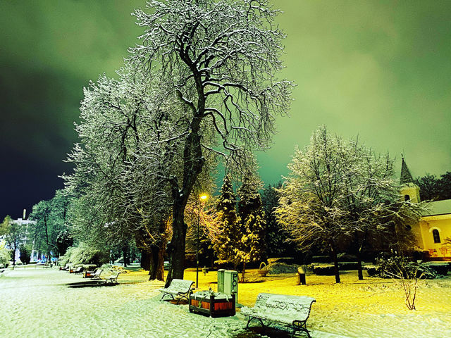 Walk in the park at night