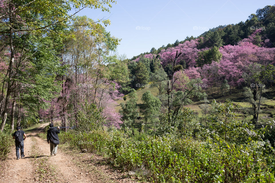 Tourist photographer in the forest 