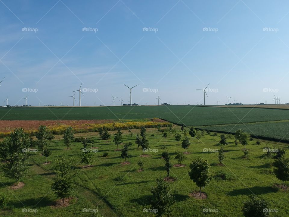 Wind Farm