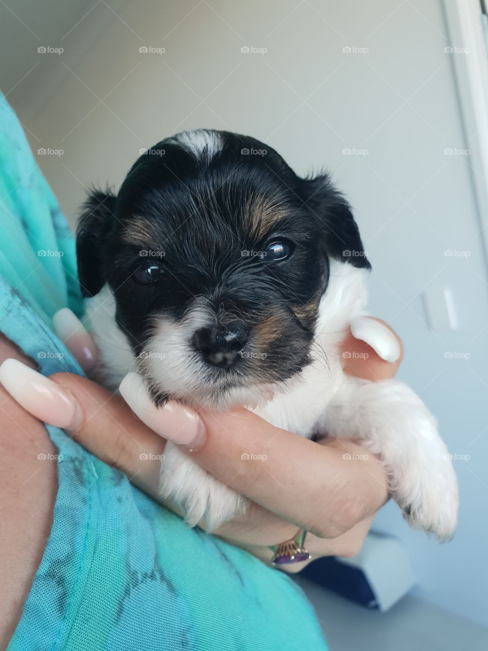 Woman cuddling new puppy