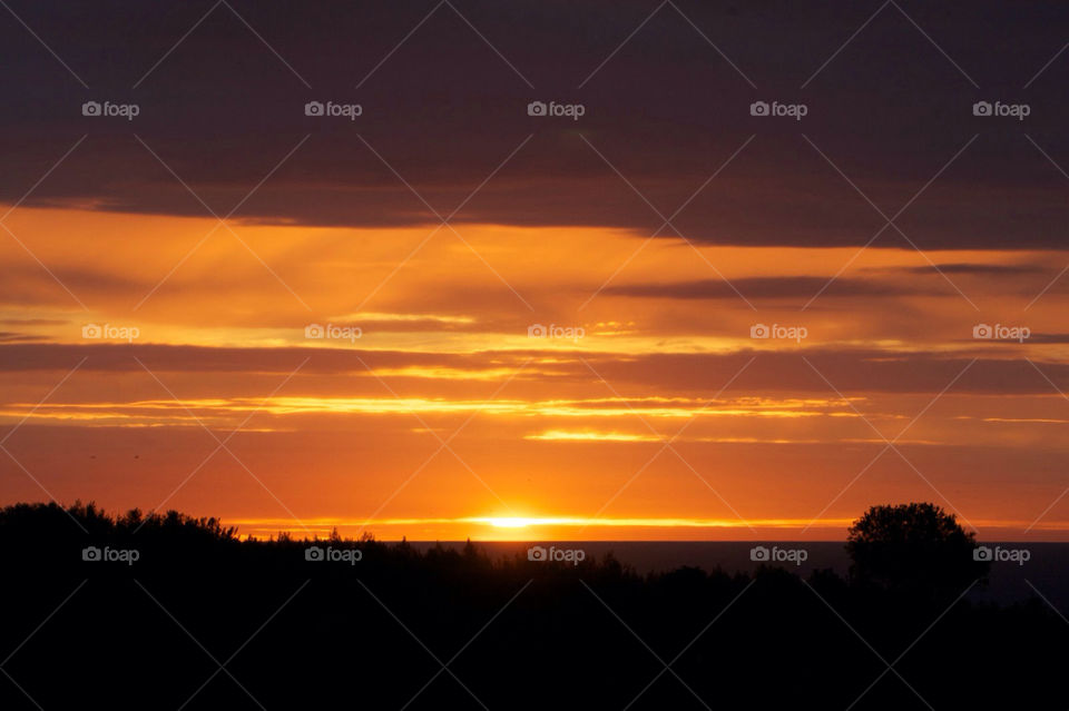 Orange morning light