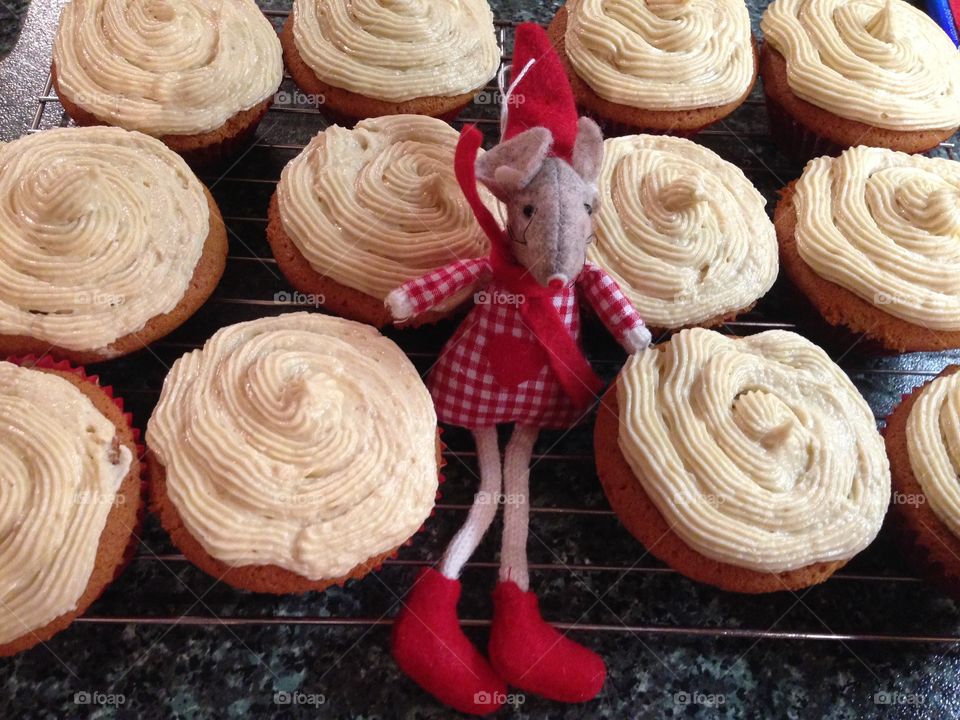 Mille Mouse looking after the Ginger Muffins