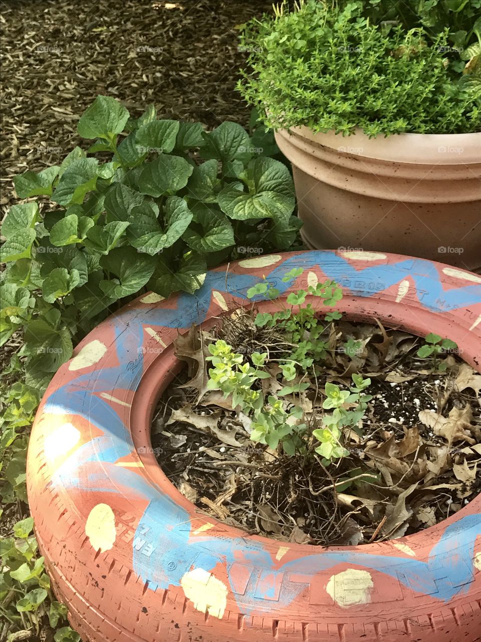 Painted Tire Planter