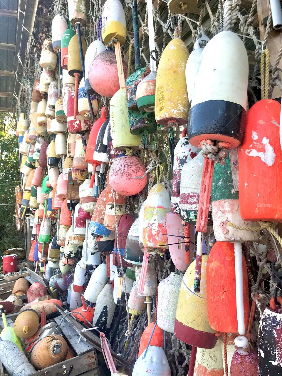 Buoys 