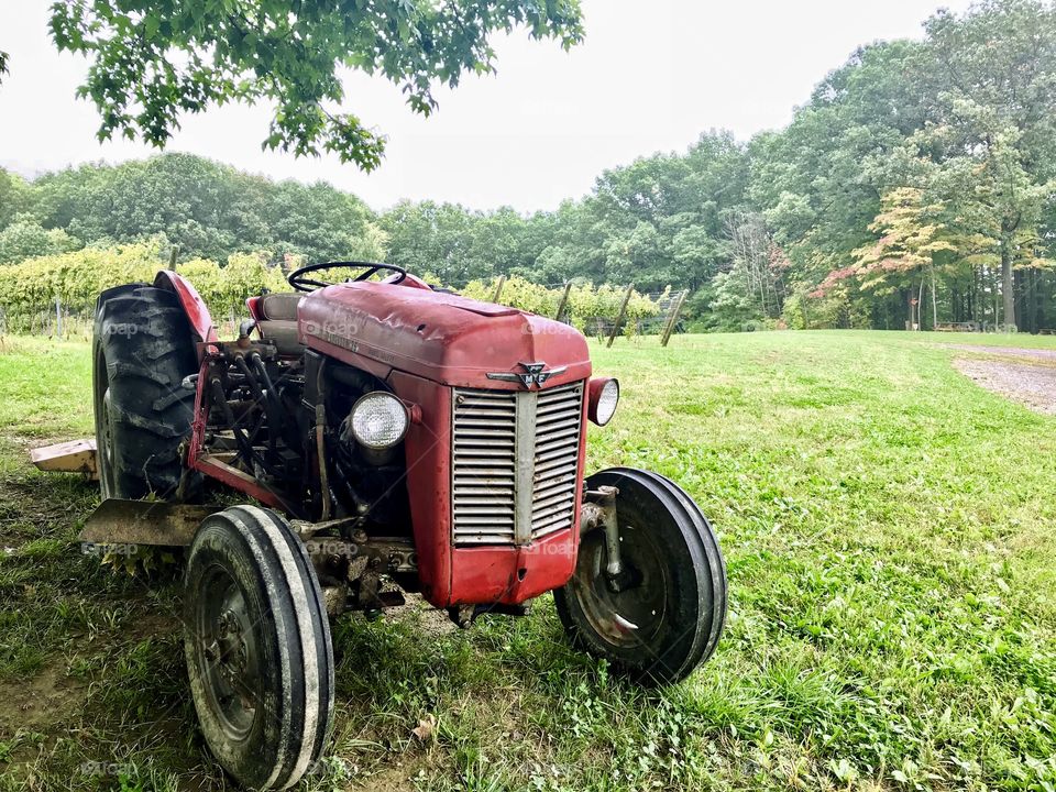 Tractor in the vineyards 