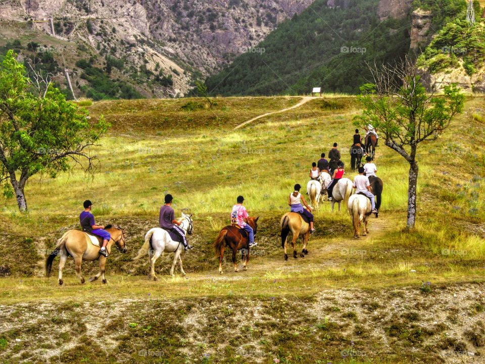 Horses. Pony trekking