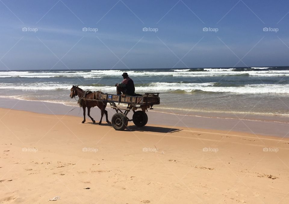 Horse and cart on the beach