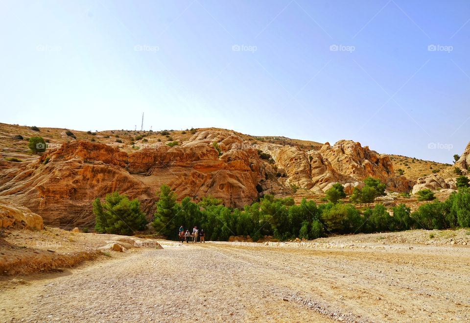 the way to Petra cliff and canyon, in Jordan