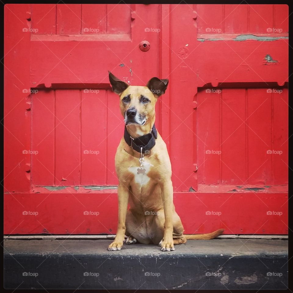 Church Door . Modeling in Philadelphia 