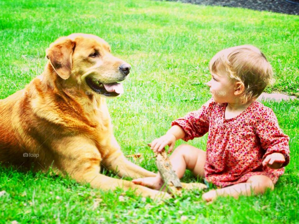 Golden lab with child 