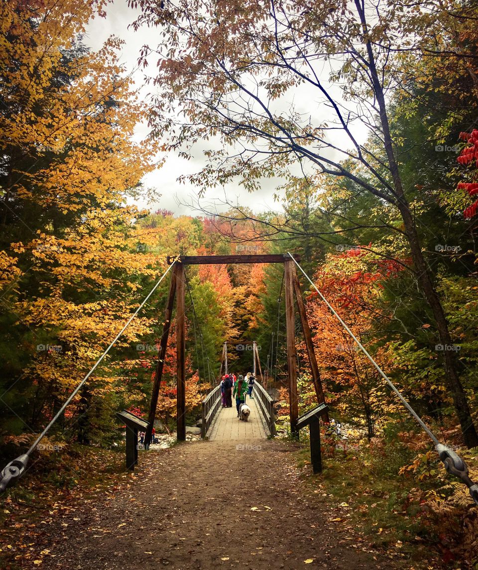 An explosion of colors. Fall.