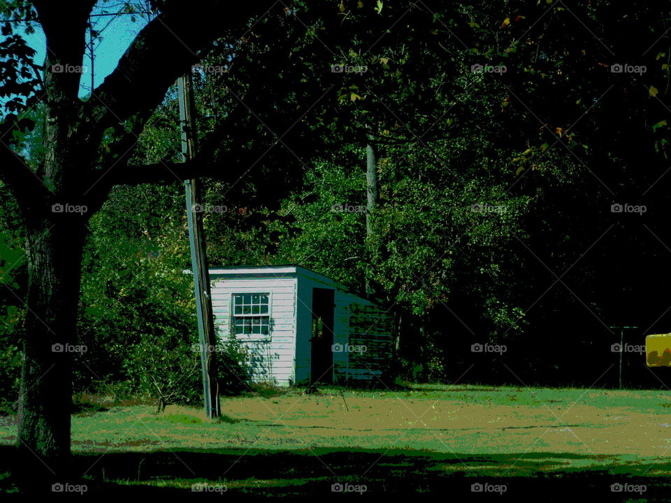 No Person, Tree, Landscape, House, Outdoors