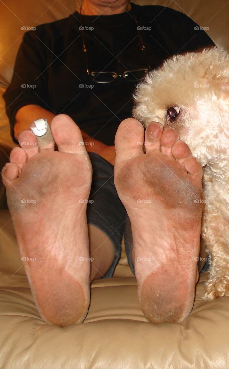 Hard working feet with a bandaid, & a dog feeling bad for it.