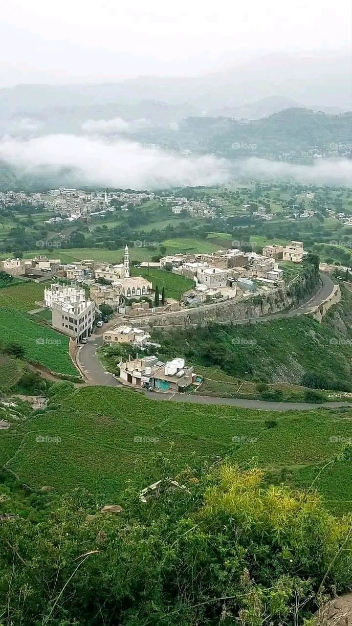 A very beautiful picture, and there is no better picture than it. There is no better picture of green herbs and colorful, red and white roses than it. Glory be to God, the natural and picturesque view, and there is no more