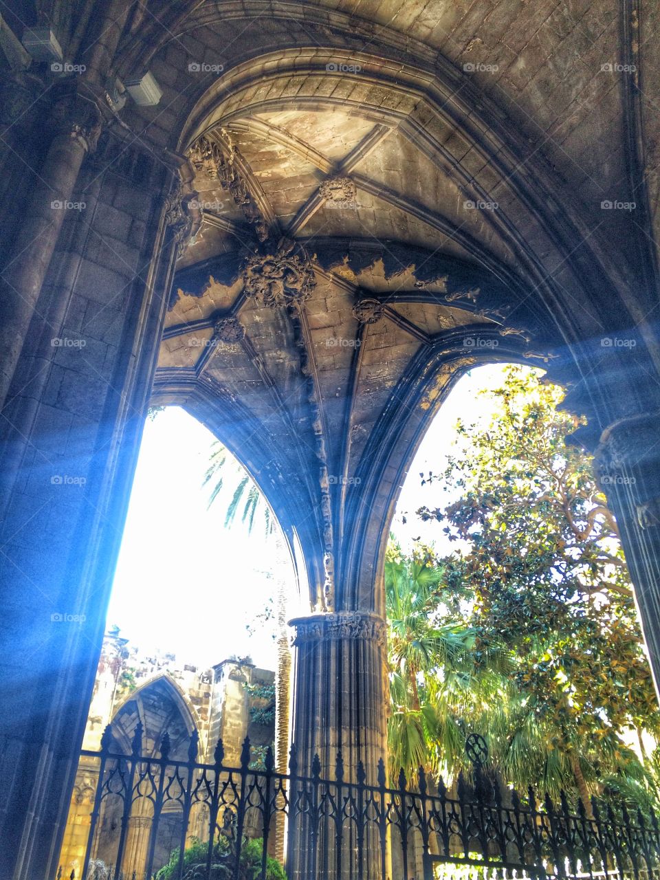 Taken at Barcelona Cathedral