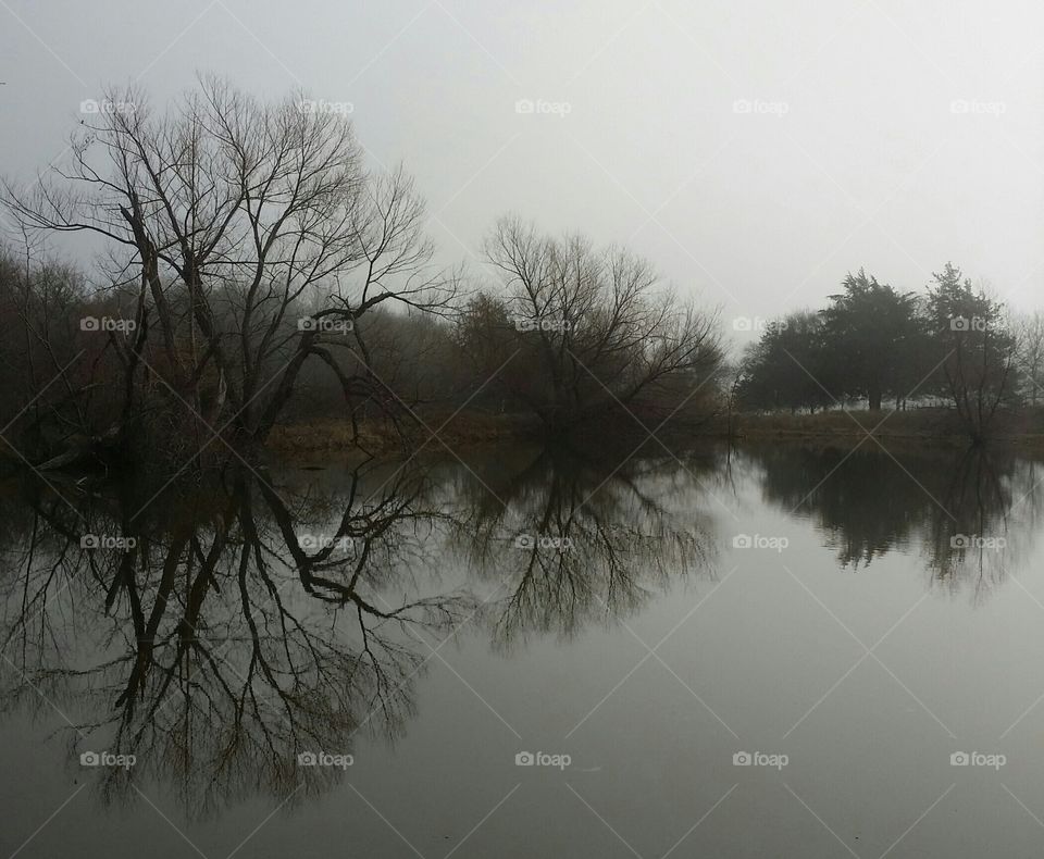 Grey Pond