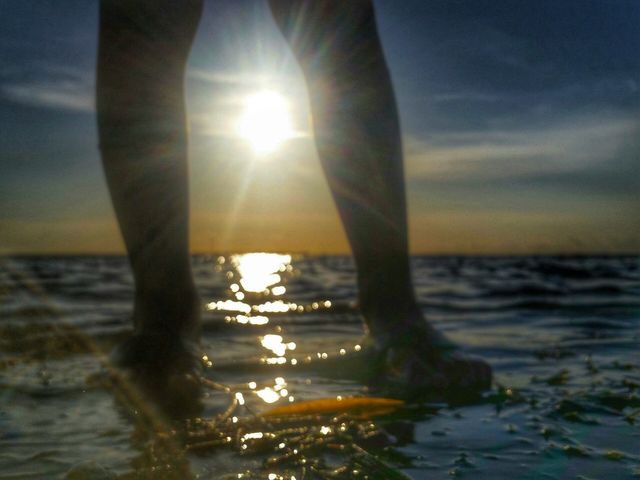 sunny legs 
