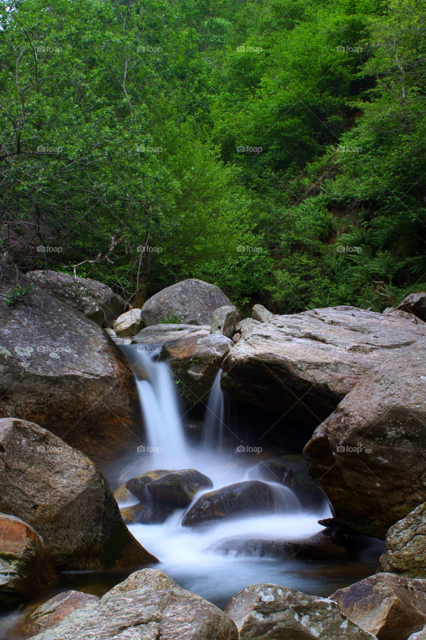 Stream in the valleys of the Parco Nazionale Valgrande in Italy under long exposure