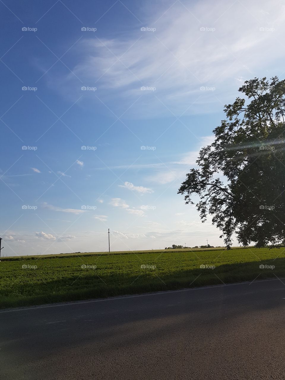 nature scene with sun rays, photographed from car
