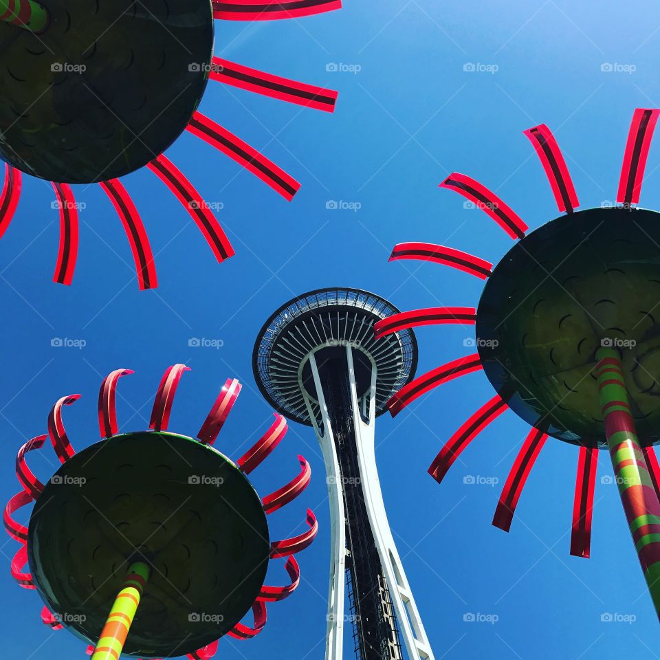 A view from the chihuly flow garden of the space needle in downtown Seattle Washington 
