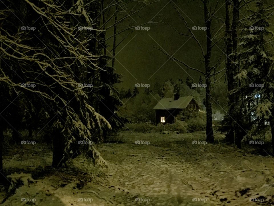 Dark winter night story. Glowing window of the cabin in dark winter forest