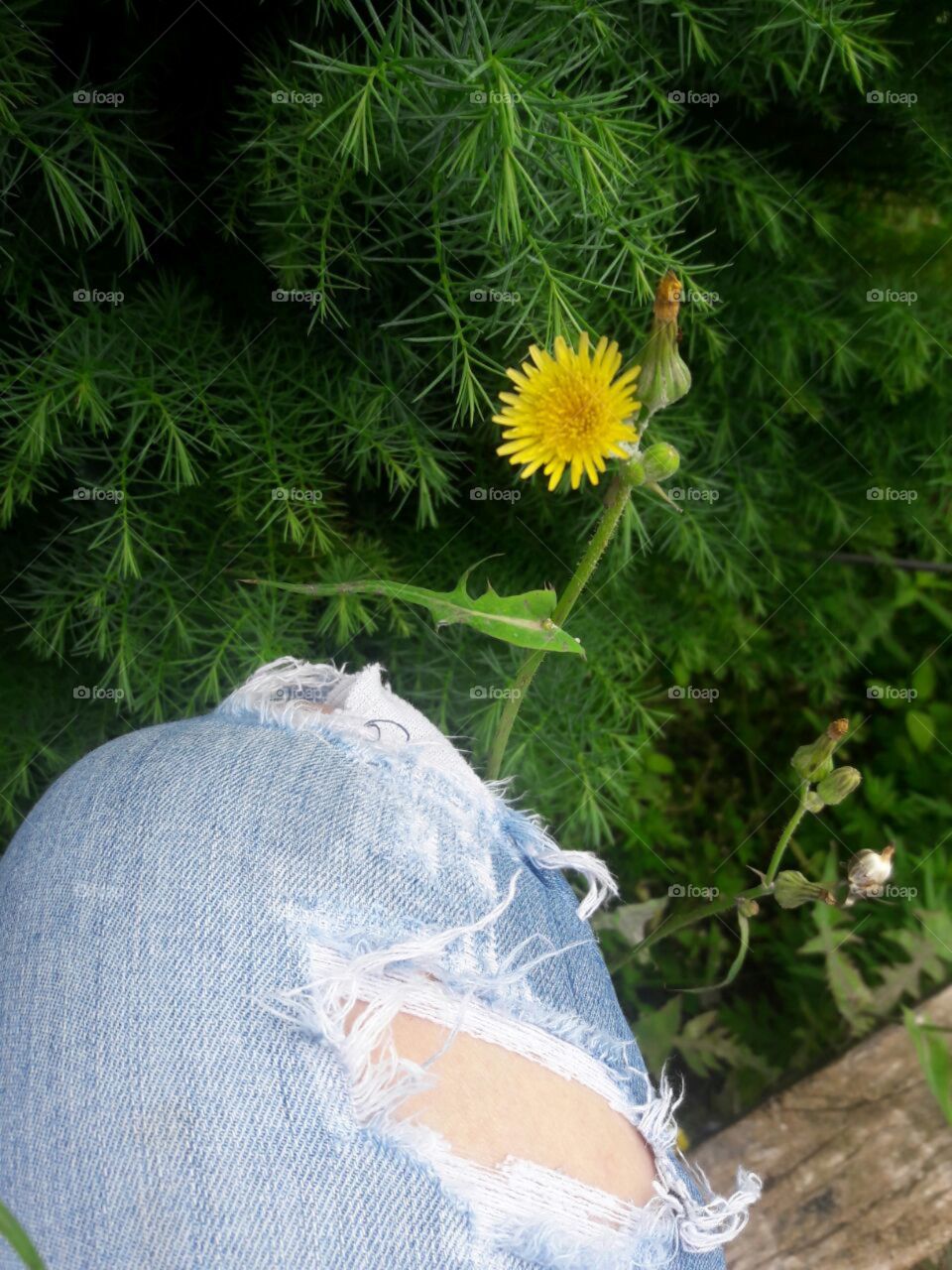 jeans flowers
