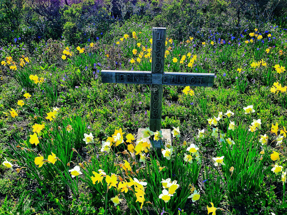 roadside grave marker at crash site with cross and bright wildflowers