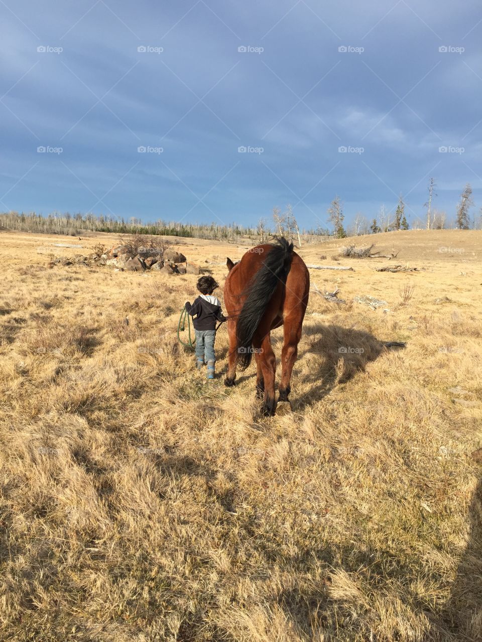 My son exercising our senior horse. This is the fourth generation of family to enjoy this horse. 