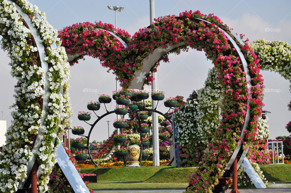 Flowers heart shape arch 