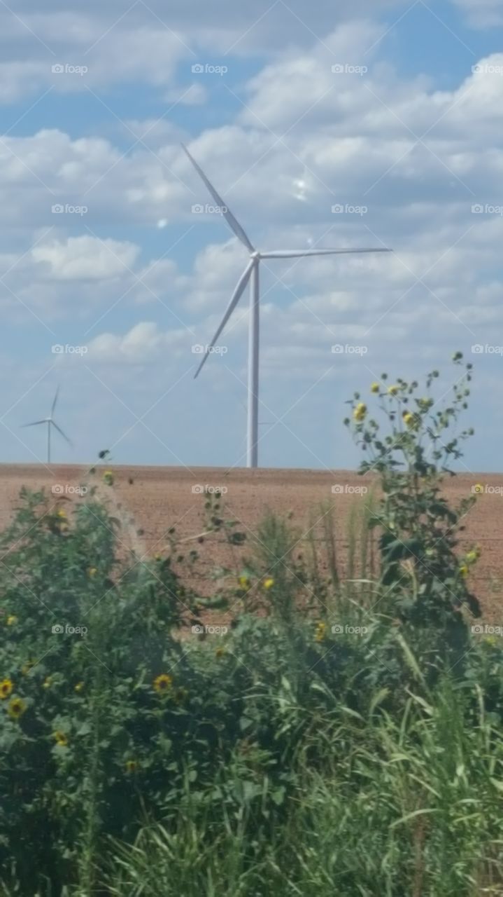 wind generators in the south