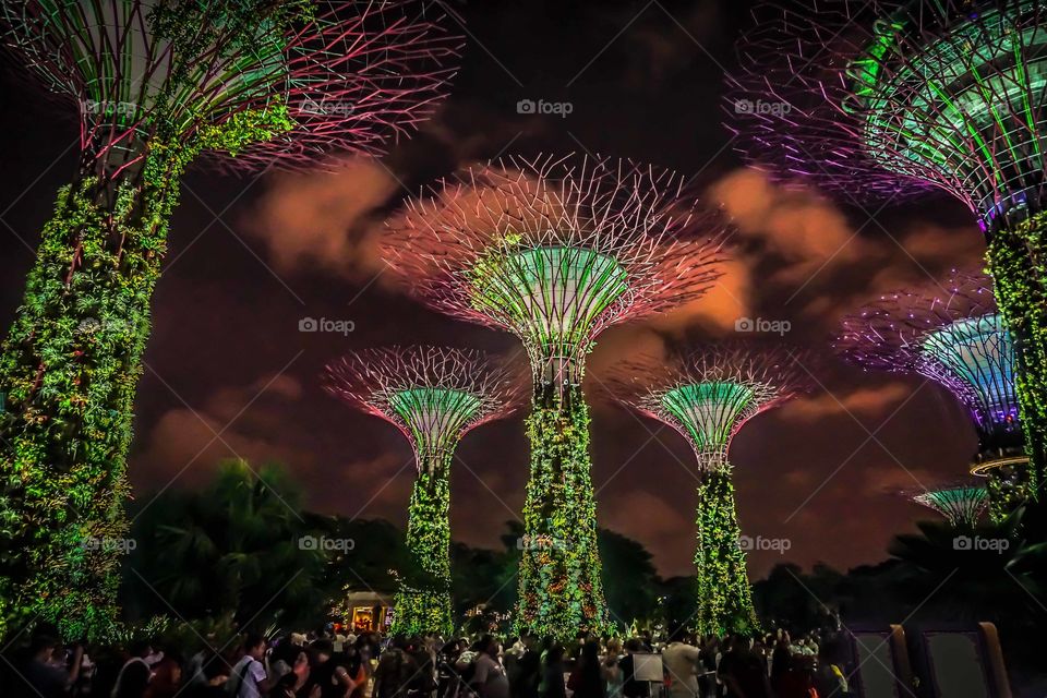 Gardens by the Bay