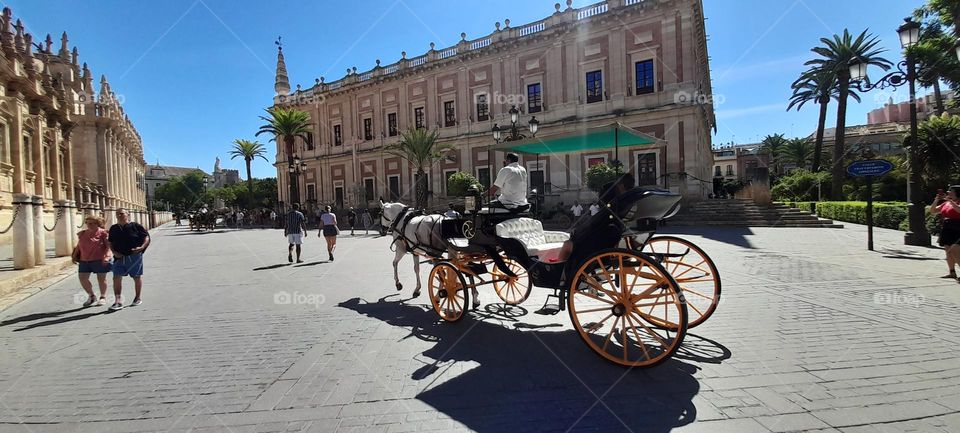 today is adventure day