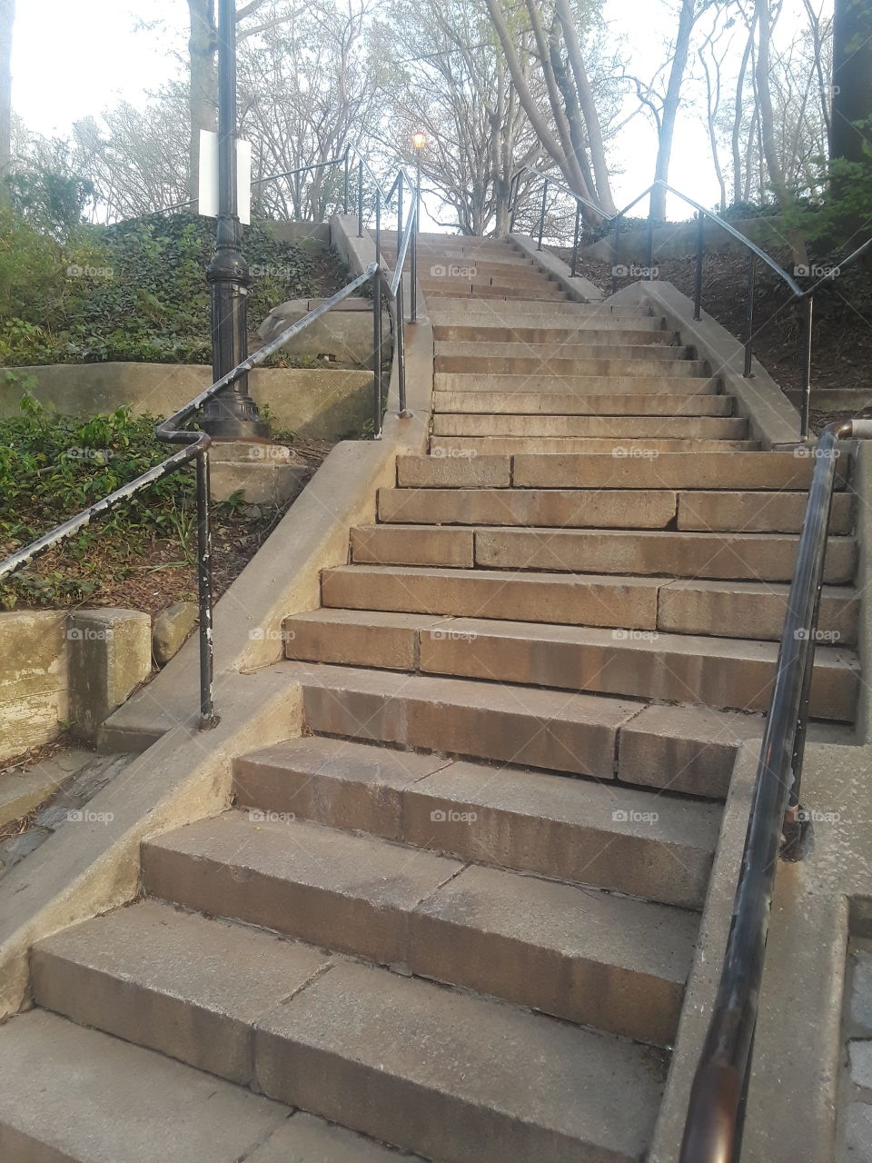 Steps, Beautiful  - Eastern Parkway Brooklyn, New York