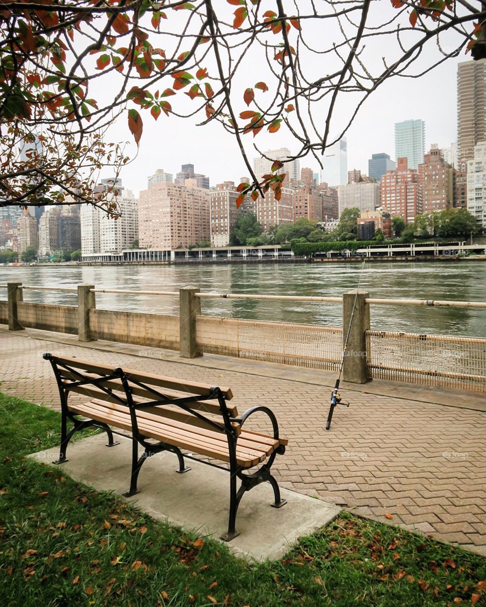 Empty Park bench by  River in  nyc