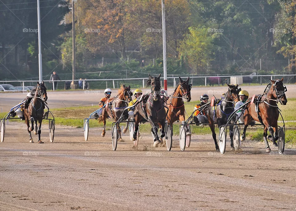 Race