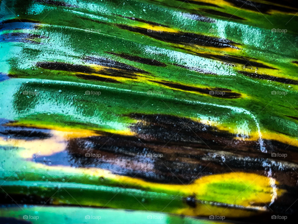 The reflection of a green banana leaf early in the morning